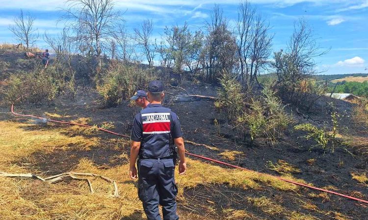 Son Gelişme: Mezarlık altındaki ot alevlerı korkuttu - Son Dakika ve Merak Edilenler