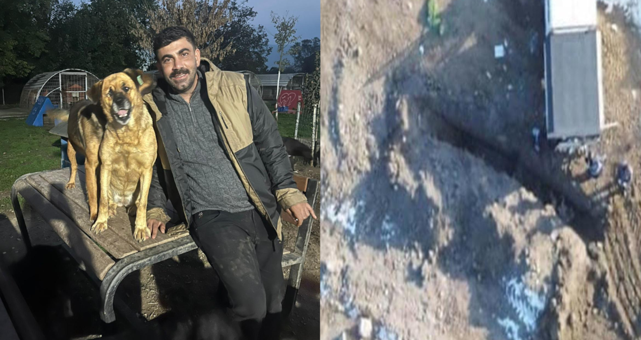 Lawsuit against those who exposed dog massacre by MHP municipality, non-prosecution against municipality - Breaking News