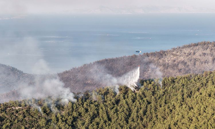 Forest flames in Milas are on the 2nd day - News