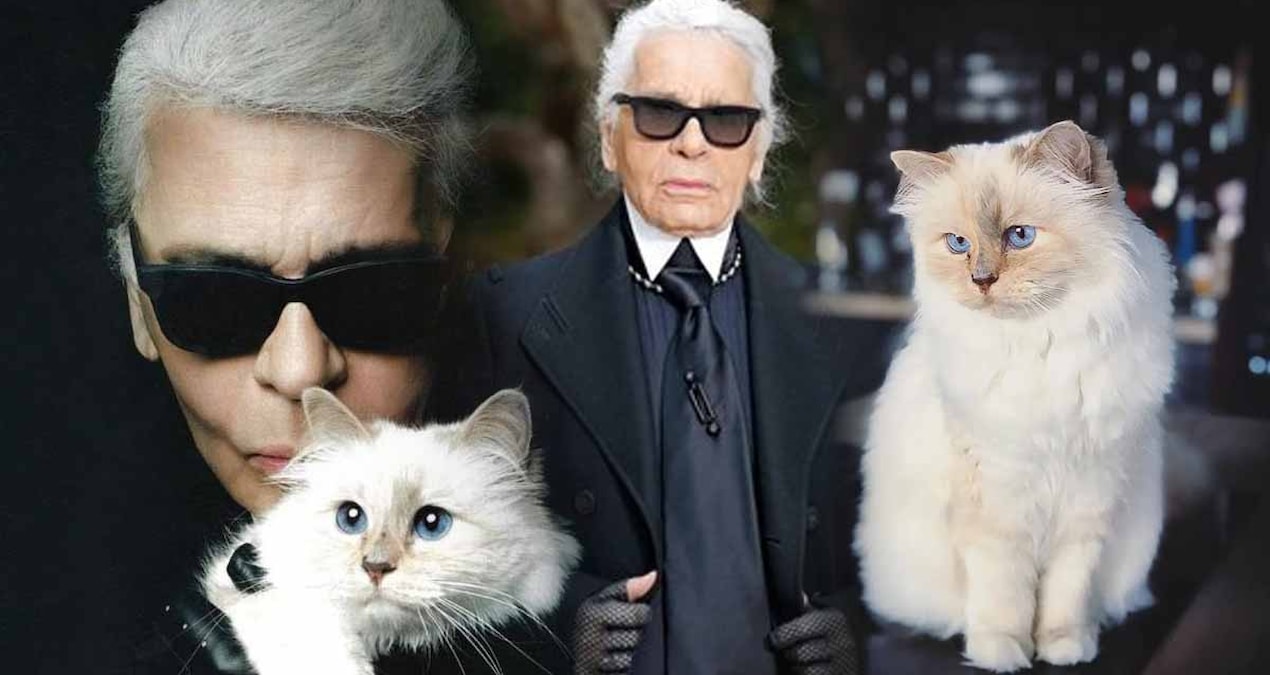 Ayrıntılar Netleşti: Milyarder Karl Lagerfeld'in zavallı kedisi - Son Dakika Haberleri - Son Dakika Bilgileri