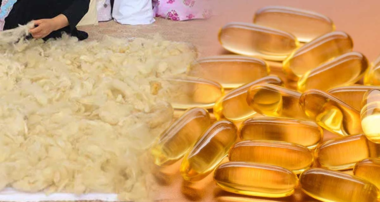 Millions use it, but no one knows that this vitamin is made from sheep wool - News