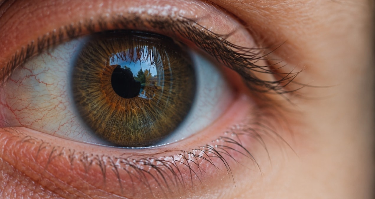 The treatment that gives hope to millions of people is being tested on humans for the first time - News