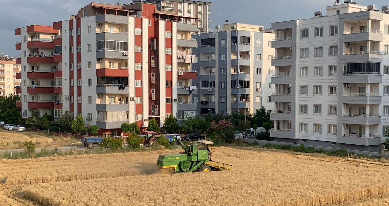 Ayrıntılar Netleşti: Milyonluk teklifleri reddetti, apartmanların arasında hasada resmen start aldı - Haberler