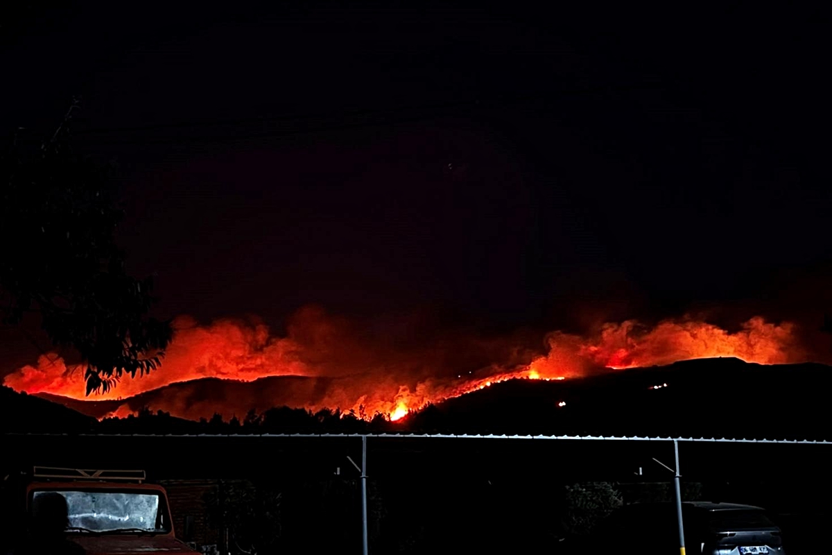 Fire at 3 Different Points in Muğla - News