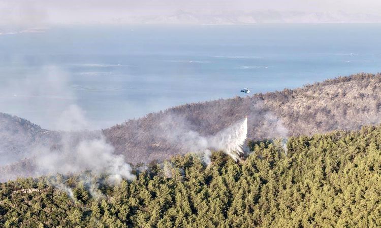 Muğla flames are largely under control - Last Minute