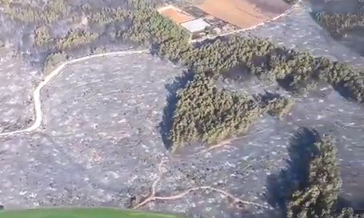 Muğla'dan Kaş'a sıçrayan yangın kontrol altında - Son Dakika Bilgileri