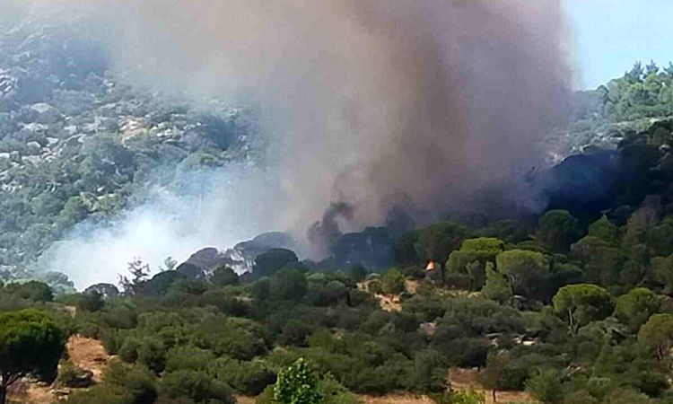 Forest flames in Muğla - Breaking News