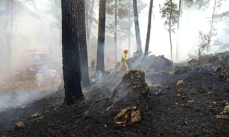 'Fire' warning from Muğla Governorship - News