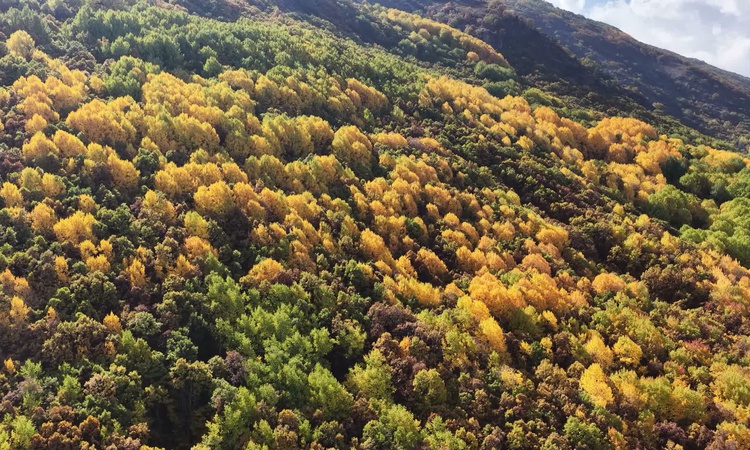 Munzur Çevre Derneği Tunceli Pülümür'de yüksek gerilim hattına karşı yürüdü ve Merak Edilenler