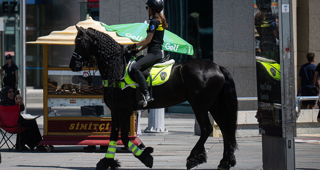 Blow dry and curl NATO horses - Breaking News