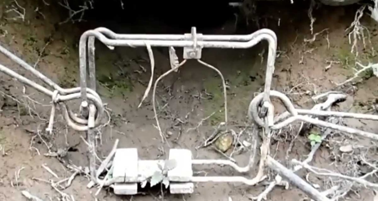 They found illegal death traps on the river bank - Latest News