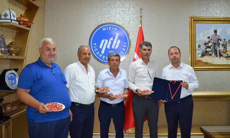 Kritik Açıklama: Nizip'te yılın ilk erkenci Antep fıstığını getiren üretici yarım altınla ödüllendirildi - Hab