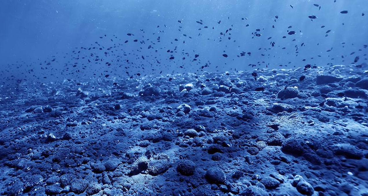 Discovered at the bottom of the ocean: It can explode at any time at 73 points - Last Minute