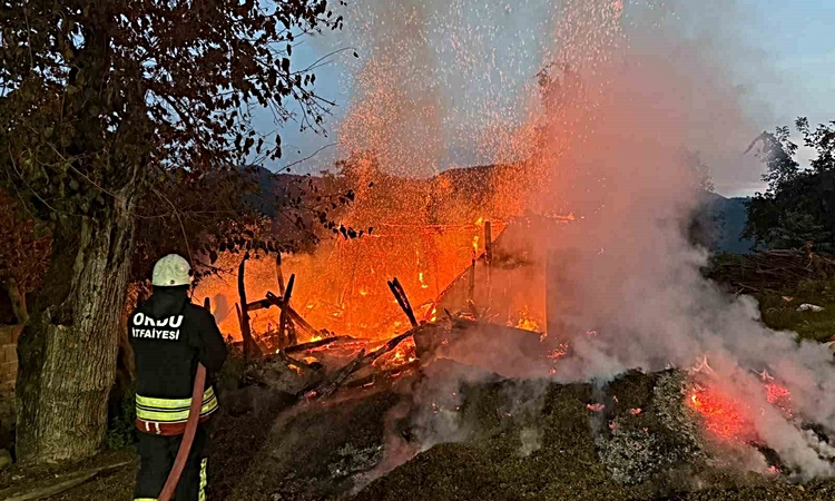 Ordu Fatsa'da fındık kabuğu ateşinden sıçrayan kıvılcımlar atıl evi küle çevirdi - Son Dakika Bilgileri