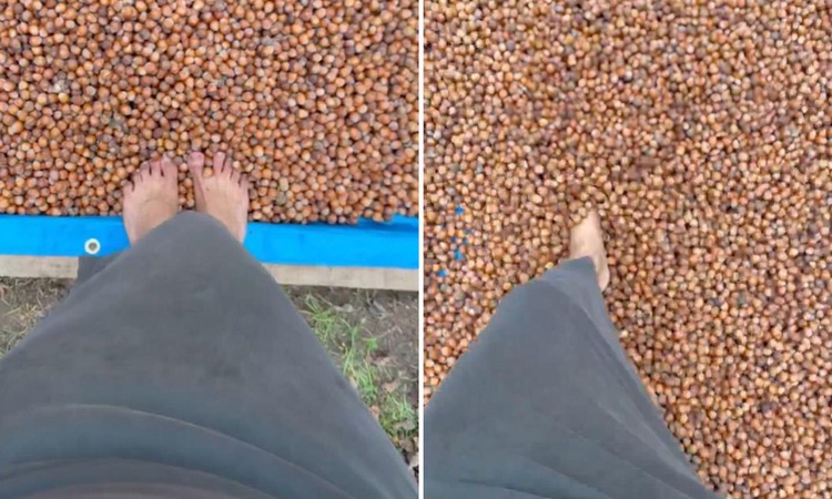 Ordulu kadının paylaşımı izleyenleri ikiye böldü | İşte Tüm Ayrıntılar