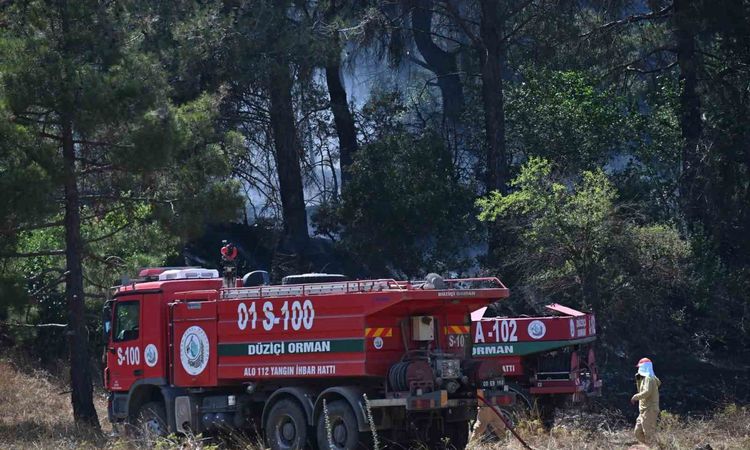 Ayrıntılar Netleşti: Osmaniye’de orman alevlerı dizginlendi, soğutma çalışmaları sürüyor - Son Dakika Haberler
