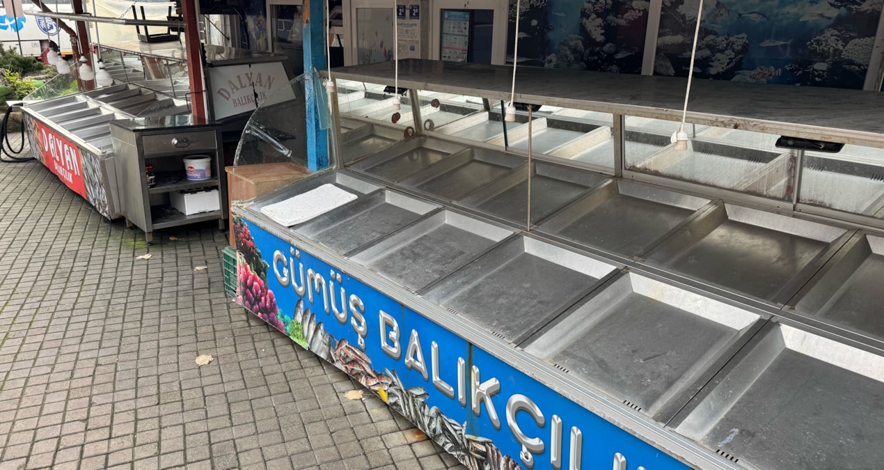 Gündemden Son Bilgiler: Palamut gelmedi, hamsi tutunamadı: Balıkçılar sezonu erken kapattı - Son Dakika Haberl