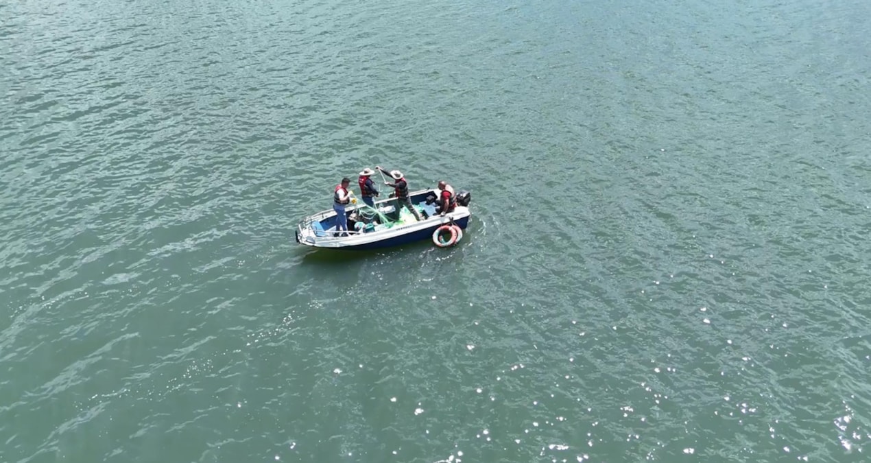 Fish population is being investigated to protect water quality in Palandöken Dam - Last Minute