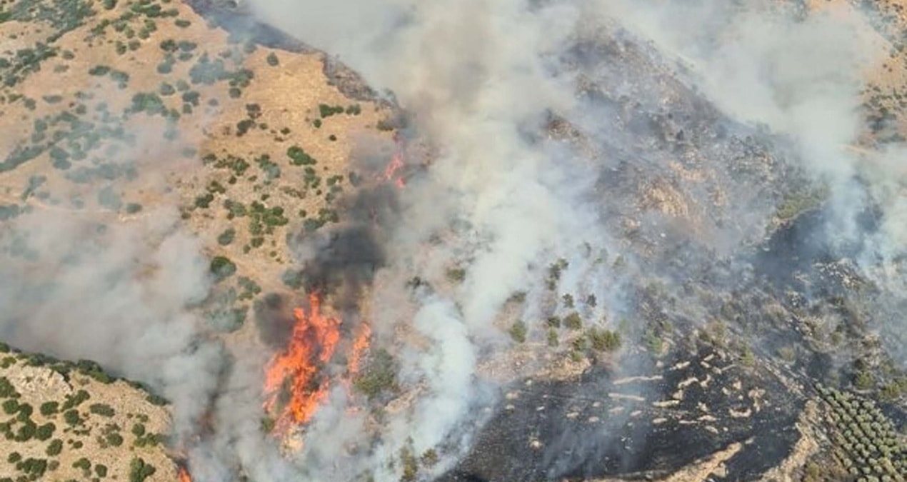 A forest fire broke out in Pamukkale - Latest News