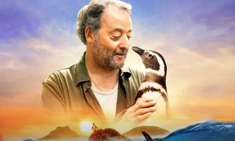 Penguen Arkadaşım gerçek mi, Penguen Arkadaşım filmindeki penguen gerçek mi? - Haberleri - Son Dakika Bilgiler