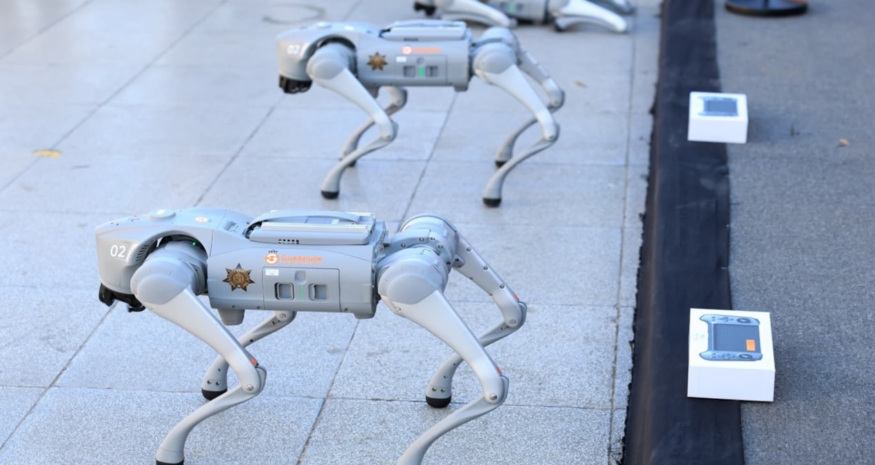 Gündemden Son Bilgiler: Polisler robot köpekleri Dünya Kupası'nda salacak! Gözlerinden hiçbir şey kaçmıyor - H