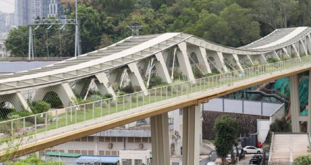 A special bridge was built for their comfortable fencing - News