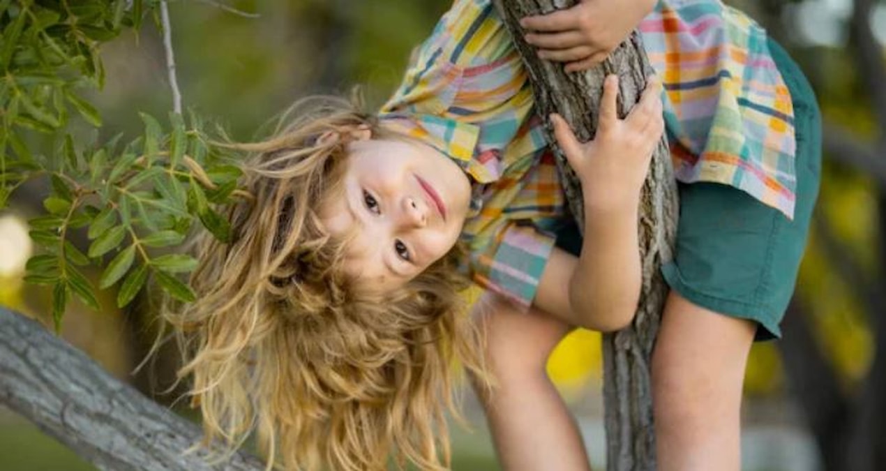 It only happens to people who climbed trees as children: It is possible to improve - Latest News