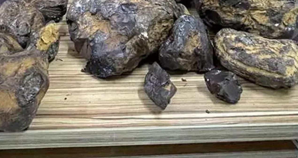 Ayrıntılar Netleşti: Sahillerde adım adım arıyorlar: Taşa benziyor ama servet değerinde - En Son Haber - Son D