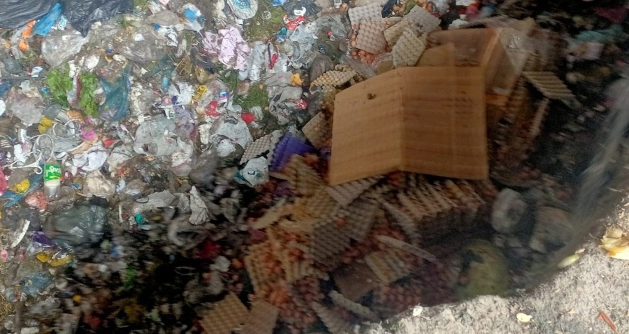 Ayrıntılar Netleşti: Sahte “organik” yumurta operasyonu: 42 bin adet imha edildi - Haberleri - Son Dakika Bilg
