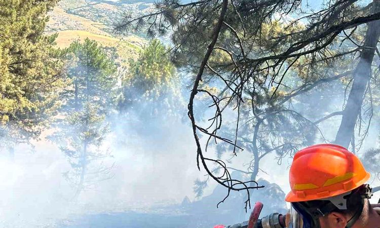 Forest fires in Saimbeyli were restrained - Last Minute