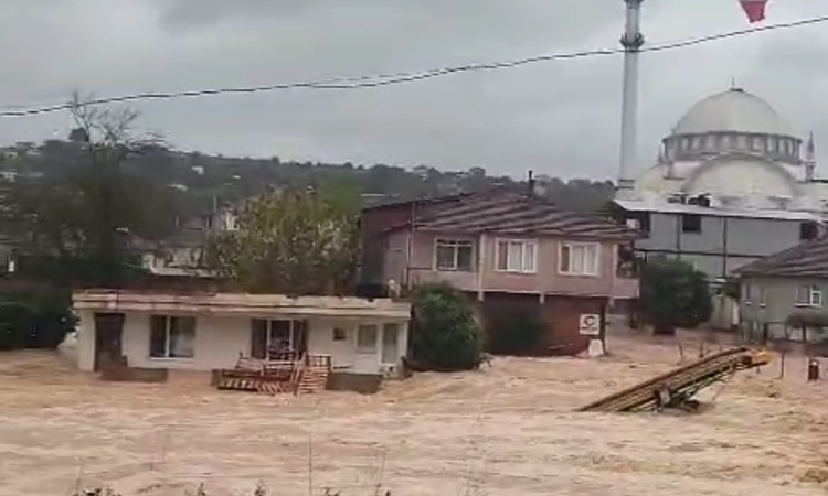 Sakarya Karasu'da sel suları yeniden artış grafiği çizdi, giriş katları sular altında kaldı ve Merak Edilenler