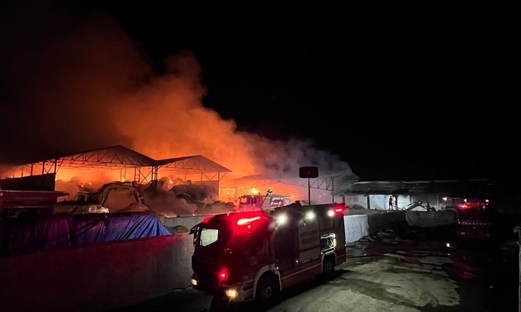 Samsun Bafra'da çiftlikteki saman deposunda çıkan yangına itfaiye müdahale ediyor - Son Dakika Bilgileri