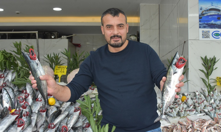 Samsun'da balıkçı Recep Erdoğan palamut bolluğunun en az 1 ay daha süreceğini söyledi: Gelişmeler Takip Ediliy