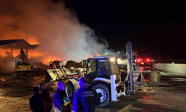 Samsun-Sinop kara yolundaki çiftlikte saman deposu yangınına müdahale sürüyor ve Merak Edilenler