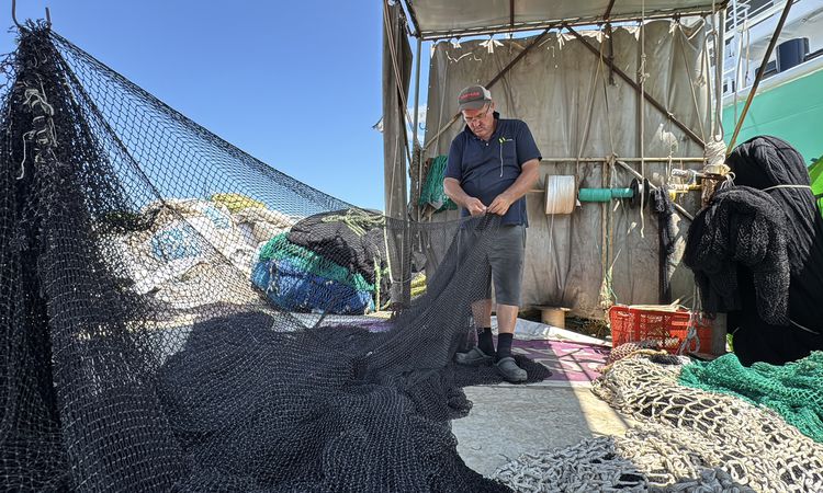 Son Gelişme: Samsunlu balıkçılar yeni sezon için hazır: Palamut avı 15 Ağustos'ta başlıyor - Son Dakika Haberl