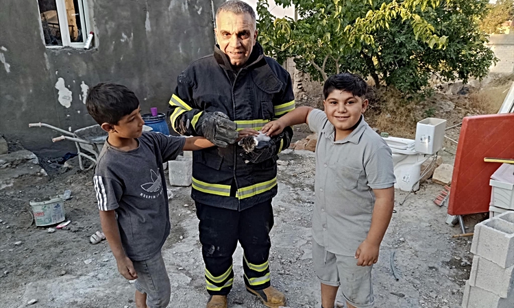 Şanlıurfa'da foseptik çukuruna düşen kedi itfaiye ekiplerince kurtarıldı - Son Dakika Bilgileri