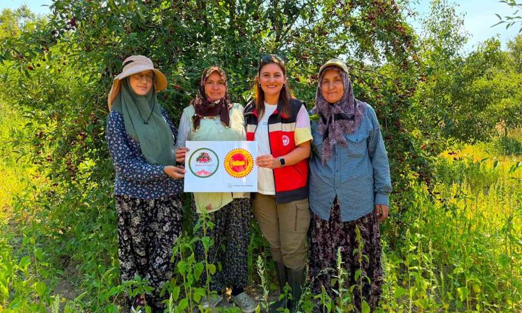 Kritik Açıklama: Şaphane vişnesi için tescil çalışmaları sürüyor - Son Dakika
