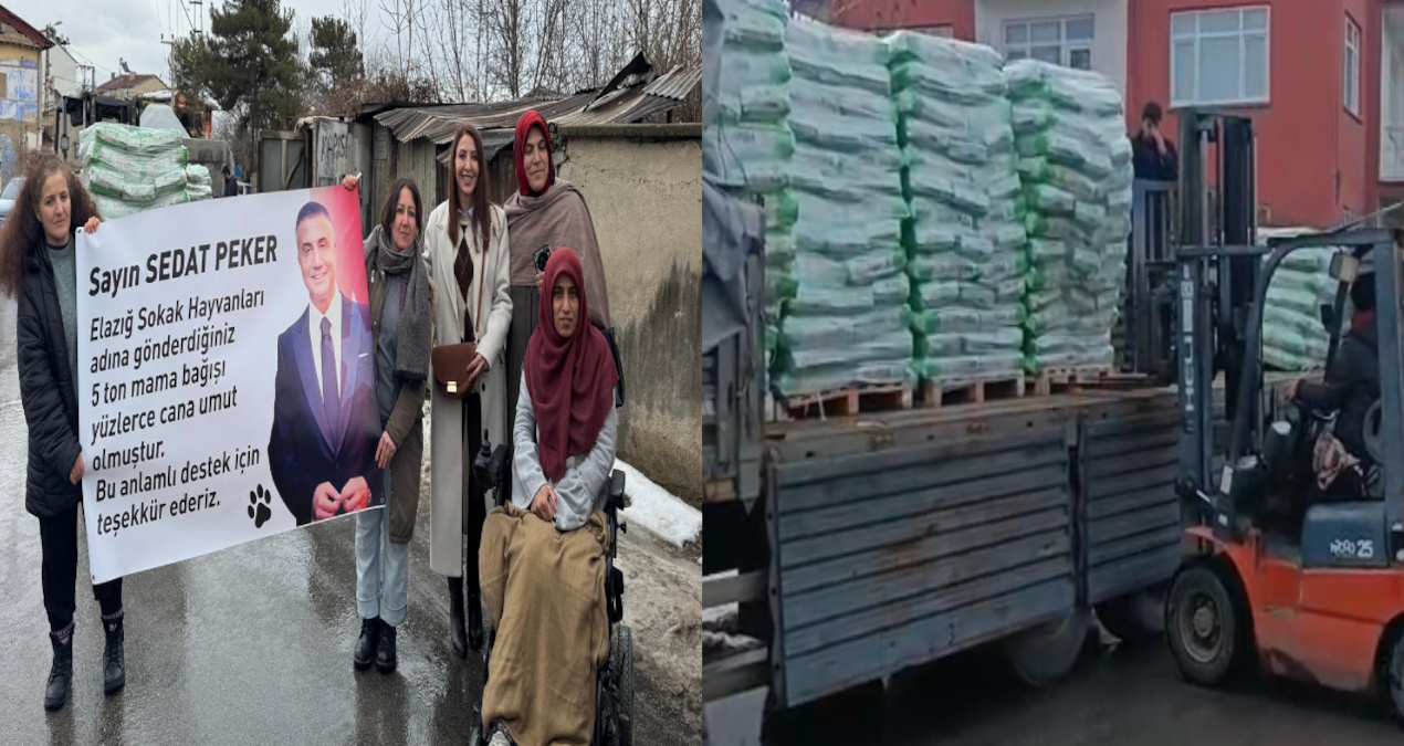 Kritik Açıklama: Sedat Peker’den Elazığ’a 5 ton mama desteği - Son Dakika: Gelişmeler Takip Ediliyor