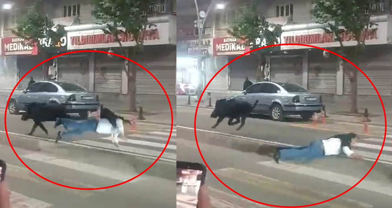 Ayrıntılar Netleşti: Şehrin göbeğinde inanılmaz kabus - En Son Haber | İşte Tüm Ayrıntılar