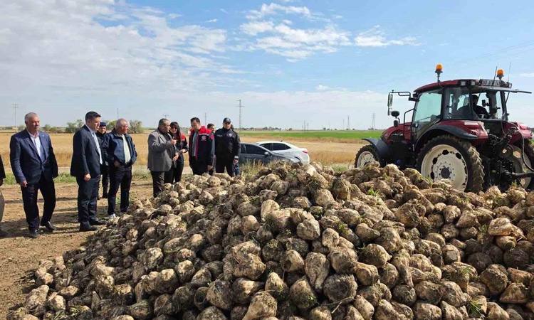 Sıcak Gündem: Aksaray Sultanhanı'nda şeker pancarı hasadı resmen start aldı, Kaymakam Yerlikaya bilgi aldı | İ