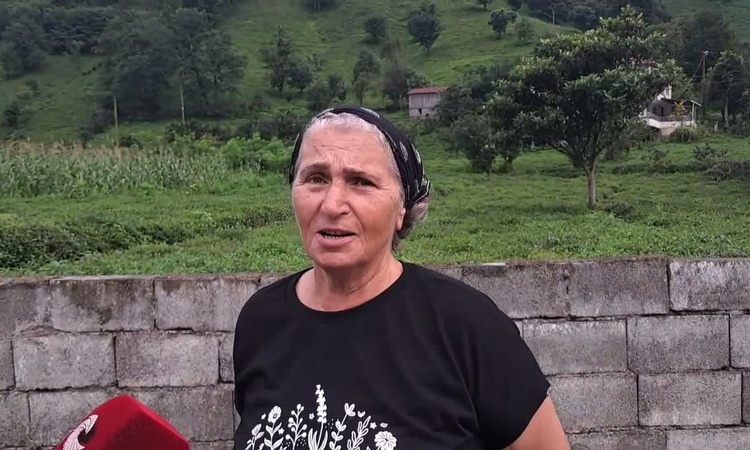 Sıcak Gündem: Artvin Kemalpaşa'da çay üreticileri işçilik, gübre ve ÇAYKUR kotasından yakındı - Son Dakika Bil