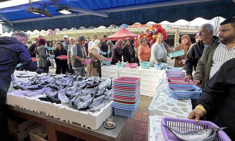 Sıcak Gündem: Bolu’da palamut ve hamsiye yoğun ilgi: Tezgahlarda metrelerce kuyruk oluştu: Gelişmeler Takip Ed