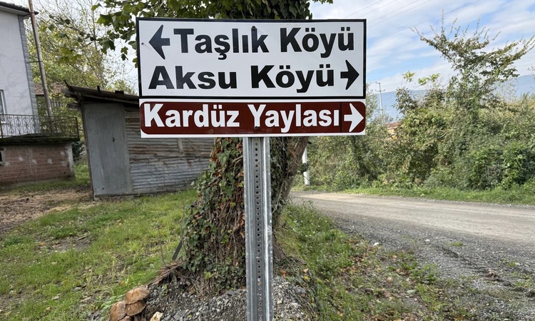 Sıcak Gündem: Düzce İl Özel İdaresi, Gölyaka Taşlık köyünde trafik levhalarının montajını tamamladı ve Merak E