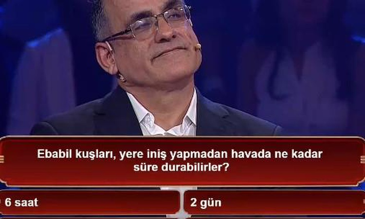 Sıcak Gündem: Ebabil kuşları, yere iniş yapmadan havada ne kadar süre durabilirler?