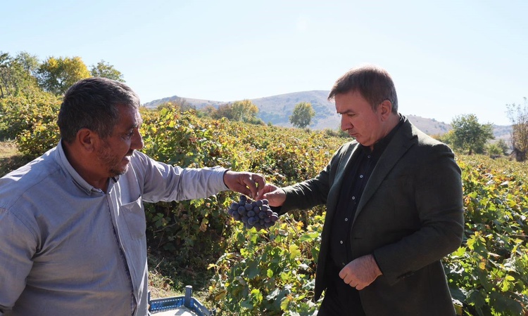 Sıcak Gündem: Erzincan Valisi Aydoğdu, Pişkidağ'da üzüm hasadı yapan üreticiyi ziyaret etti ve Merak Edilenler