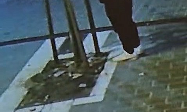 Sıcak Gündem: Fatih'te kuyumcu vitrinini engellediği iddia edilen ağacı bir kişi gece kesti ve Merak Edilenler