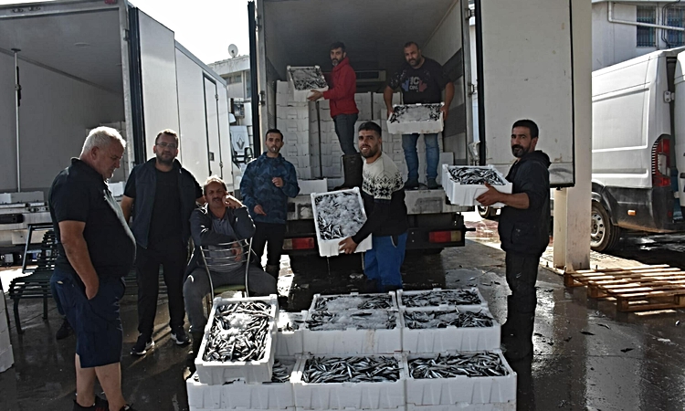 Sıcak Gündem: İzmir'de balık fiyatları gerileme kaydetti; palamut halde 60, tezgahta 100 TL - Son Dakika Bilgi