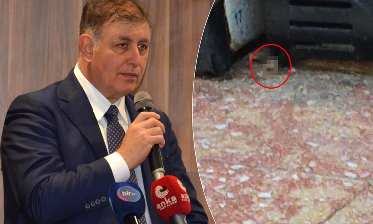 Sıcak Gündem: İzmir'de skandal görüntü! Videoyu izleyenler Cemil Tugay'ı etiketledi: Gerekeni yapın: Gelişmele