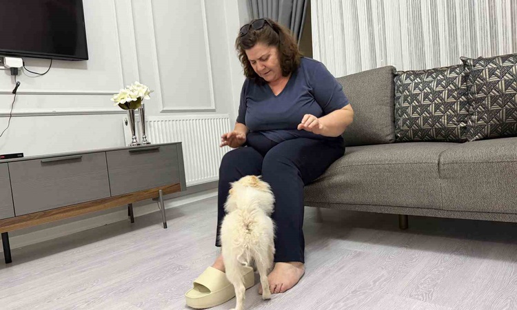 Sıcak Gündem: Mardinli aile, Pomeranian panda suratlı köpeğin vaat edilenden farklı çıktığını öne sürdü ve Mer