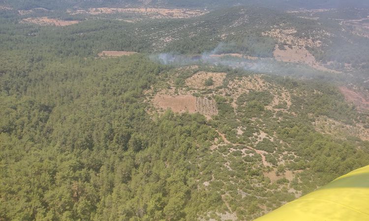 Sıcak Gündem: Muğla'da Orman Yangını Kontrol Altına Alındı - Son Dakika Bilgileri